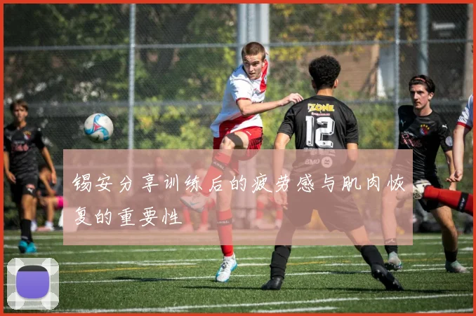 锡安分享训练后的疲劳感与肌肉恢复的重要性